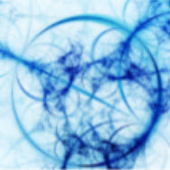 logo sito BIOWAREHOUSE