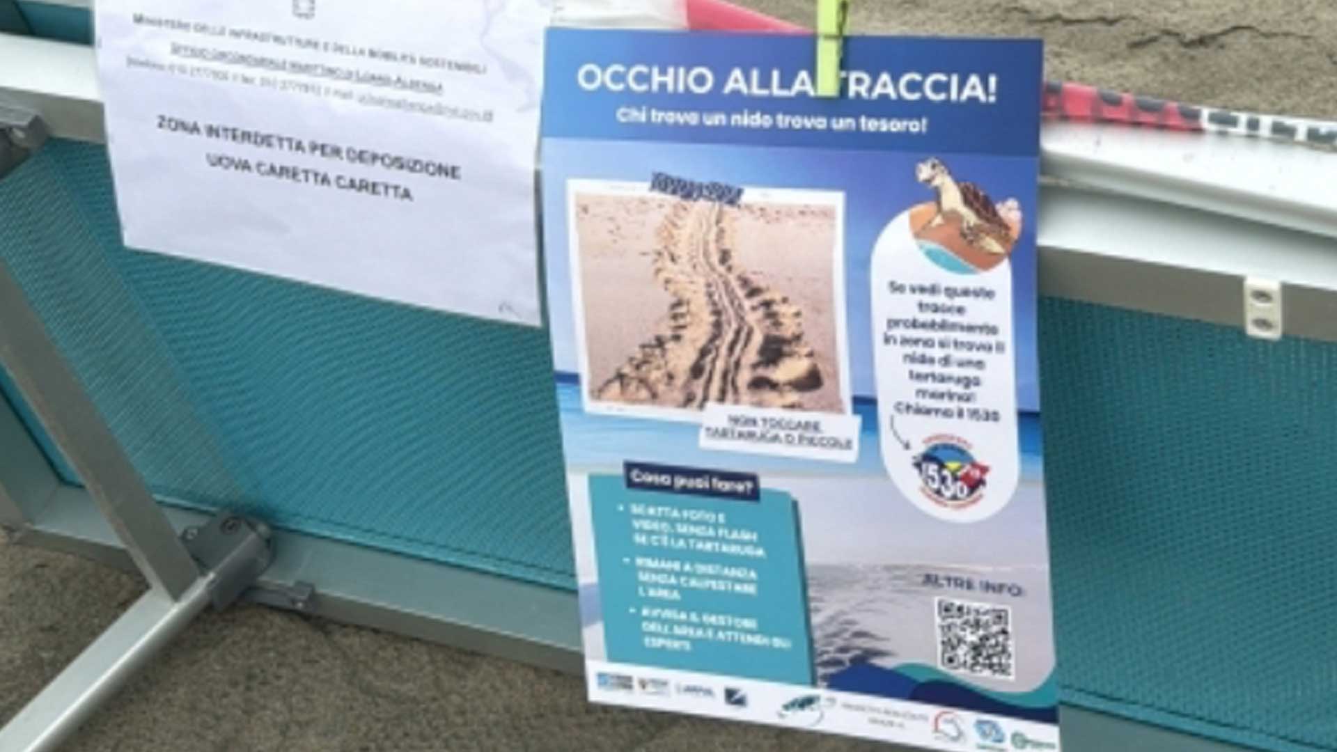 segnalazione dei nidi sulla spiaggia
