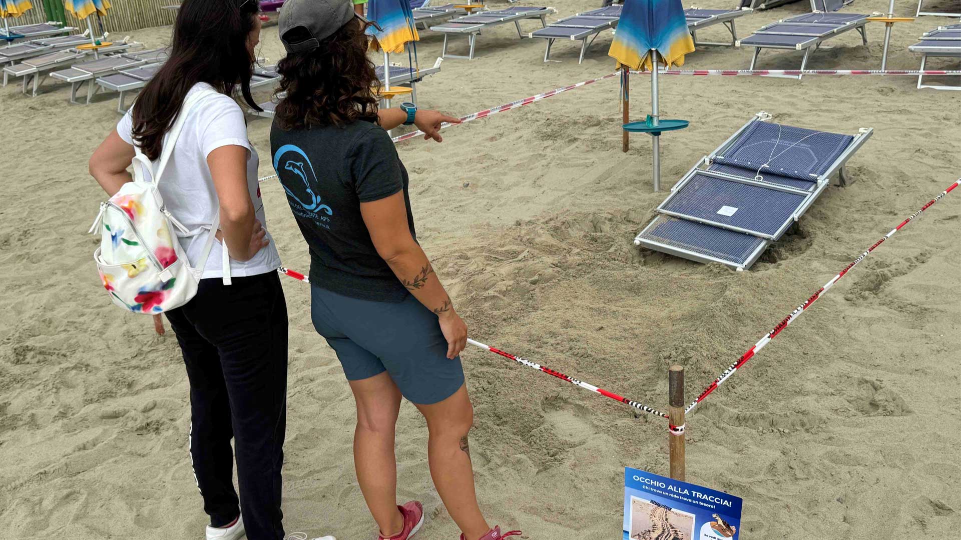 area di spiaggia protetta per i nidi di tartaruga ad arma di taggia liguria